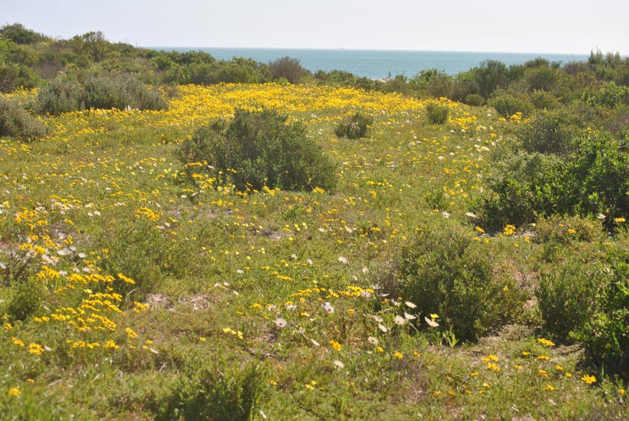 Stay At Bokkoms In Paternoster Self Catering Accommodation Exterior photo
