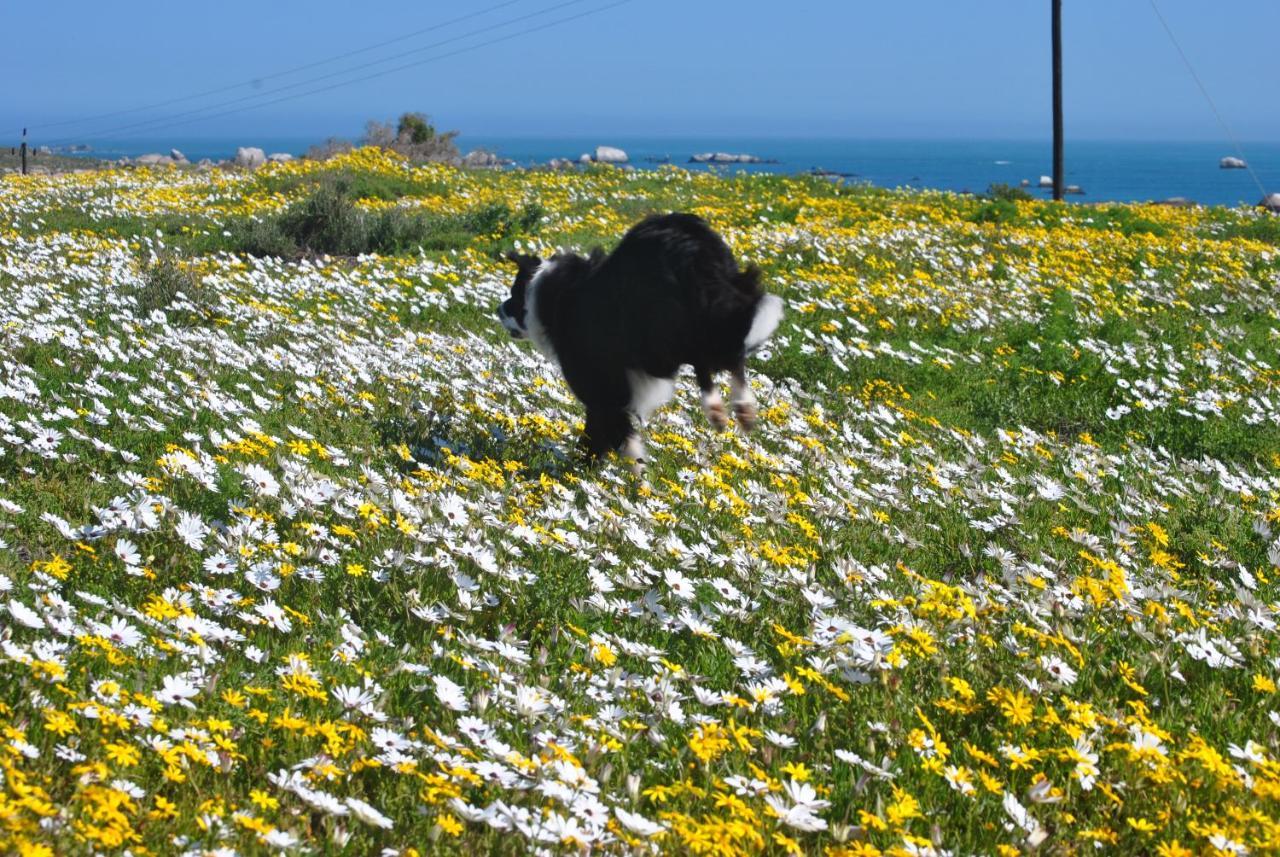 Stay At Bokkoms In Paternoster Self Catering Accommodation Exterior photo