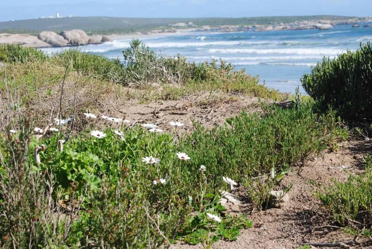 Stay At Bokkoms In Paternoster Self Catering Accommodation Exterior photo